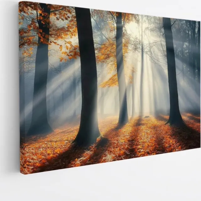 Saammp Canvas Schilderij - Natuur - Bos met mist - landschappen - 30x20 - Foto op canvas - Wanddecoratie - Muurdecoratie Woonkamer - Slaapkamer decoratie - Canvas Print Multicolor