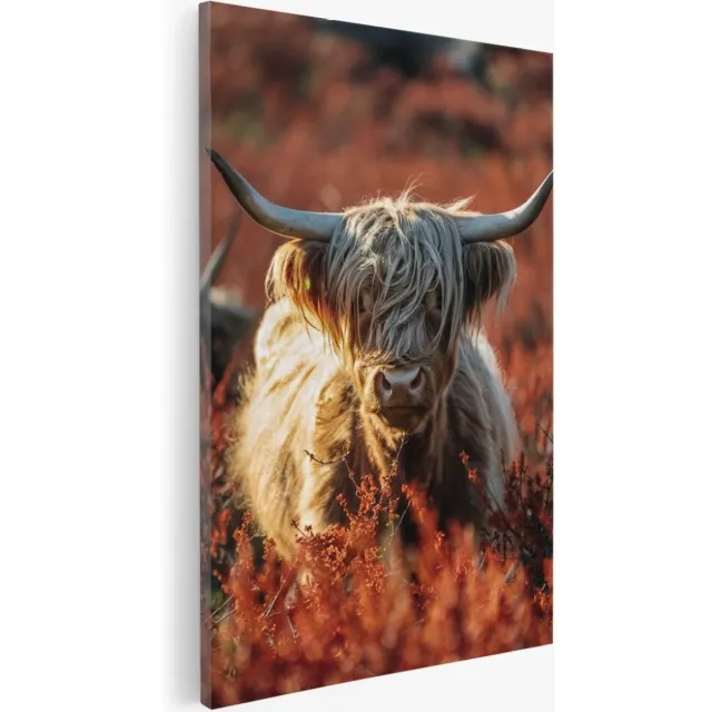 Saammp Canvas Schilderij - Schotse hooglander koe - Rode Bloemen - Dieren - 40x60 - Foto op canvas - Wanddecoratie - Muurdecoratie Woonkamer - Slaapkamer decoratie - Canvas Print Multicolor