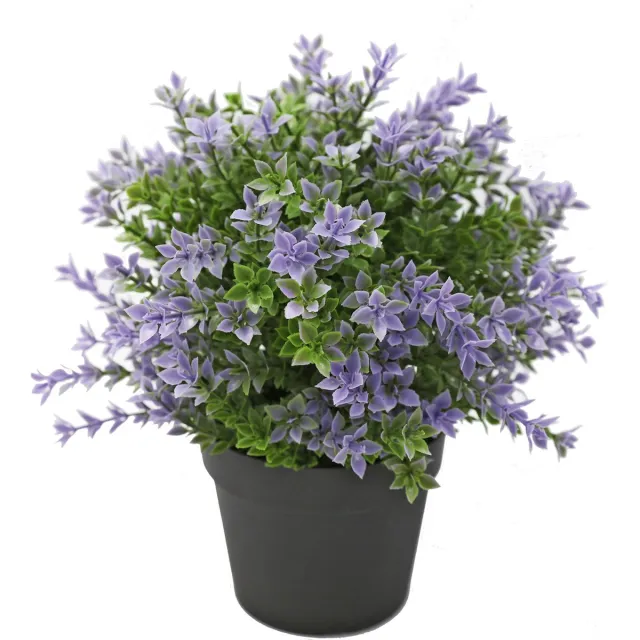High Quality Kunstplanten Kunstplant Buxus paars 22 cm UV - voor binnen en buiten Divers
