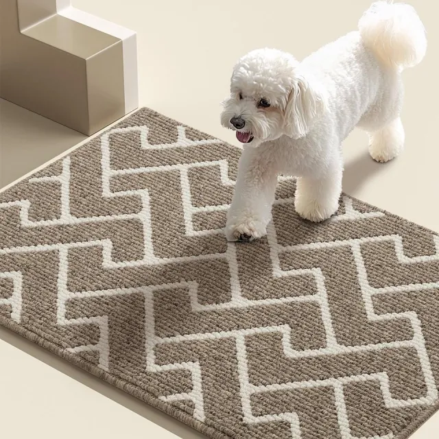 Ibenzoa Hoogwaardige deurmat voor binnen – antislip, waterafstotend, 50 x 80 cm – beige