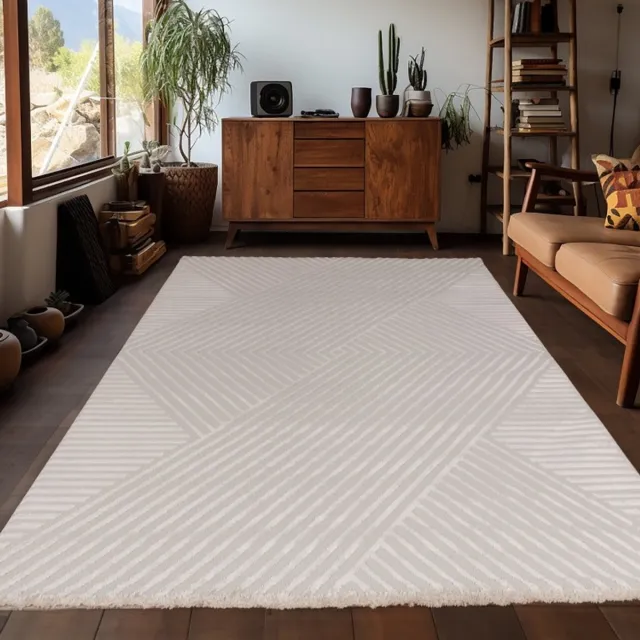 TapisTrend Designer tapijt Geld 200x290 cm Binnenkleed met zigzagpatroon, zilverkleurig, voor de woonkamer, antislip, platgeweven, comfortabel