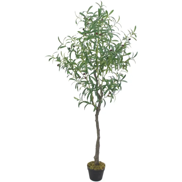 Decovego Kunstolijfboom, Levensechte Uitstraling, Kunstplant, 160 cm, voor Binnengebruik, Onderhoudsvriendelijk & Allergievriendelijk