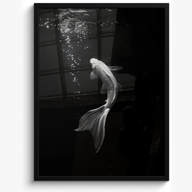 FrameYourWall Poster in lijst - Fotolijst 50x70 cm - Posters - Koi - Vis - Wit - Zwart - Posterlijst zwart - Decoratie - Wanddecoratie woonkamer - Muurdecoratie slaapkamer Kroi