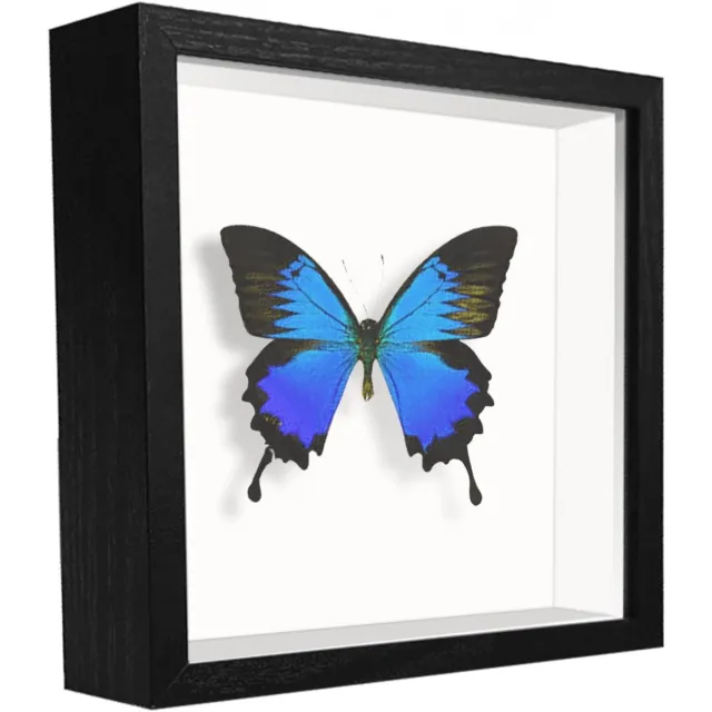 Famanu 3D houten schaduwlijst 13x13 cm, vierkant, staand of muur Zwart