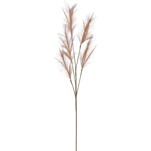House of Seasons pluimgras losse steel/tak - meerdere stengels - lichtbruin - 98 cm - Decoratie kunst bloemen