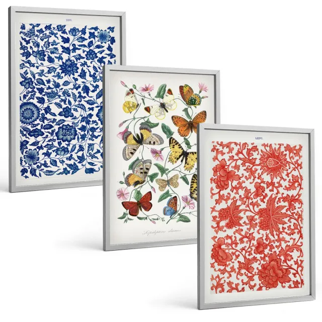 Coloray 3-Delige Schilderij Set - Vintage Posters Met Bloemen, Vlinders En Ornamenten - 40 x 60 cm - Stijlvolle Muurdecoratie - Kantoor - Interieur Decoratie Zilveren lijst