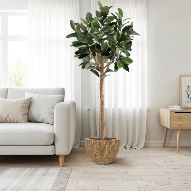 maxifleur Kunstplanten Ficus Elastica Robusta Kunstboom Deluxe 230cm Groen