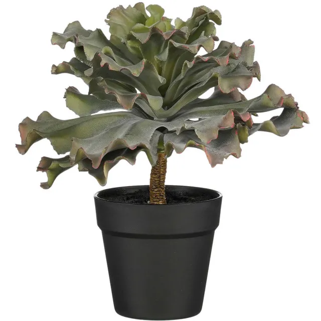 Mica Decorations kunstplant Echeveria Groen