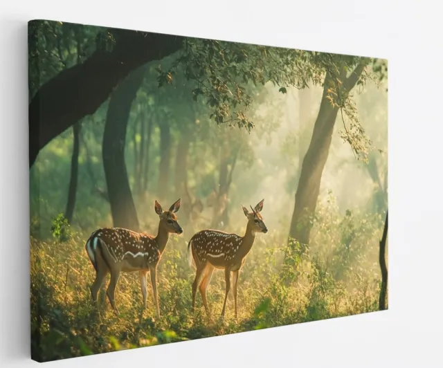 Saammp Canvas Schilderij - 2 Hertjes in het bos - Landschap - Natuur - 70x50 - Foto op canvas - Wanddecoratie - Muurdecoratie Woonkamer - Slaapkamer decoratie - Canvas Print Multicolor