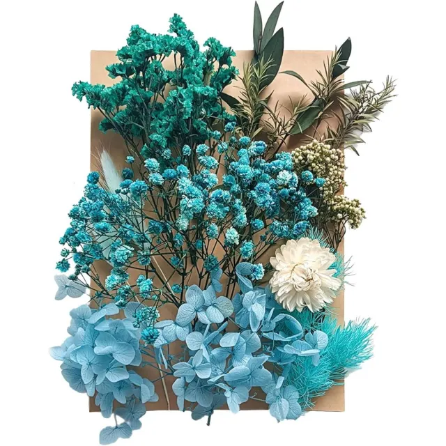 JGS Premium - Gedroogde bloemen bladeren voor kunstbloemen en nagelkunst - Natuurlijke decoratieve bloemen voor ambacht en DIY - Mix van gedroogde bloemen Groen