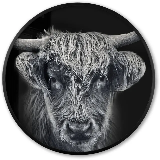 FrameYourWall Poster in lijst Rond - Fotolijst 80x80 cm - Posters - Schotse hooglander - Zwart - Koe - Dieren - Ronde posterlijst zwart - Decoratie - Wanddecoratie woonkamer - Muurdecoratie slaapkamer Schotse Hooglander - Close up