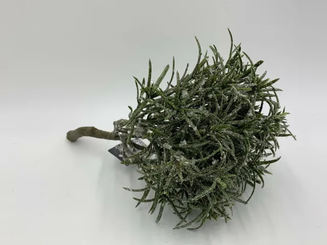Home Sweet Home Decoratie kunsttak Podocarpus kunstboeket sneeuw 28 cm groen | 87928-1 | Home Sweet Home | Stoer & Sober Woonstijl