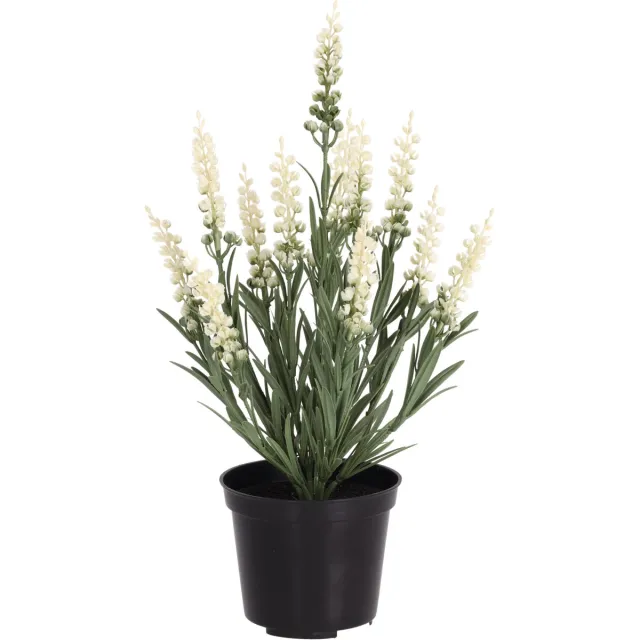 maxifleur Kunstplanten Kunstplant lavendel wit 30cm UV in kweekpot 10cm