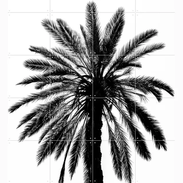 IXXI Palm in Palermo, Photolovers - 80 x 100 cm - Grote wanddecoratie en posters - Minimalisme, Fotografie, Woonkamer, Slaapkamer, Tropisch, Natuur Zwart / Rustig / Lichte tinten / Monochroom / Zwart en wit