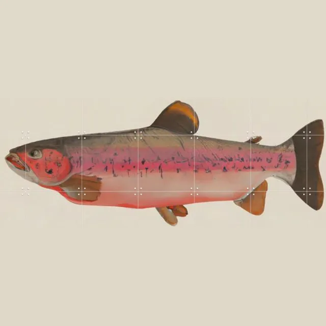 IXXI Fishy, Interiorisla - 140 x 100 cm - Grote wanddecoratie en posters - Illustraties, Keuken, Strandhuis, Woonkamer, Eetkamer, Vissen, Dieren Rood / Roze