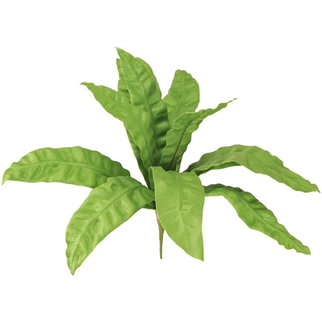 Viana Nestvaren kunstplanten in groen 5,5×22cm 2st, 2 Stück groente