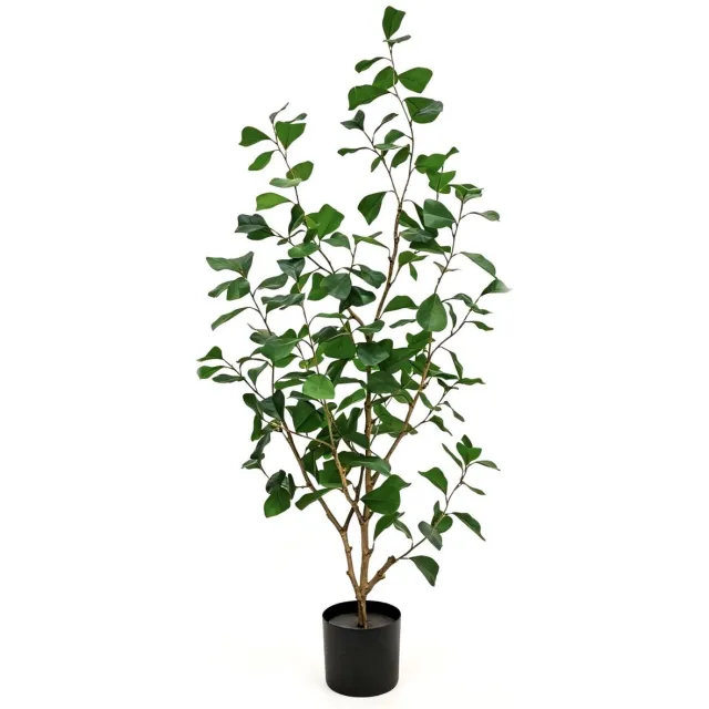 PrettyPlants Ficus Triangularis Kunstplant 120cm | Hoogwaardige kunstplanten | Ficus Nepplant groen