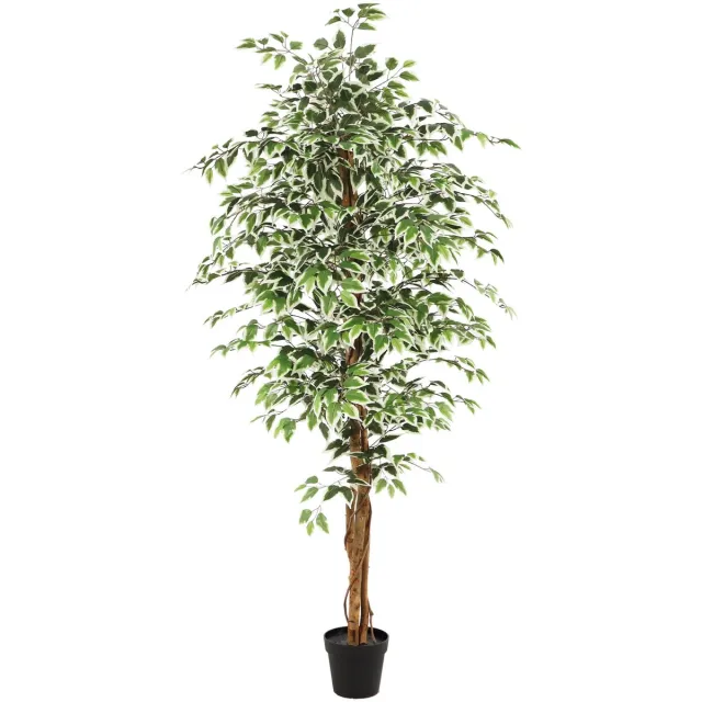 NeverLeafs Kunstplant Ficus groen - 180 cm