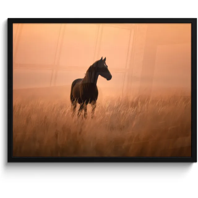 FrameYourWall Poster in lijst - Fotolijst 80x60 cm - Posters - Paard - Grasveld - Zonsondergang - Posterlijst zwart - Decoratie - Wanddecoratie woonkamer - Muurdecoratie slaapkamer