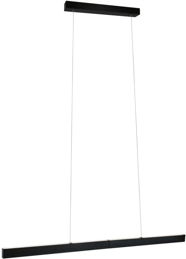 Paulmann LED-hanglamp Smart Home Zigbee 3.0 Aptare RGBW+ dimbaar 2x2240lm 2x16W Zwart geborsteld