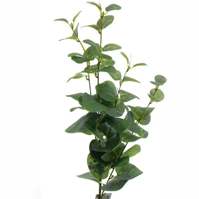 DPI GmbH DPI Eucalyptustak Groen 95 cm - Kunstplanten