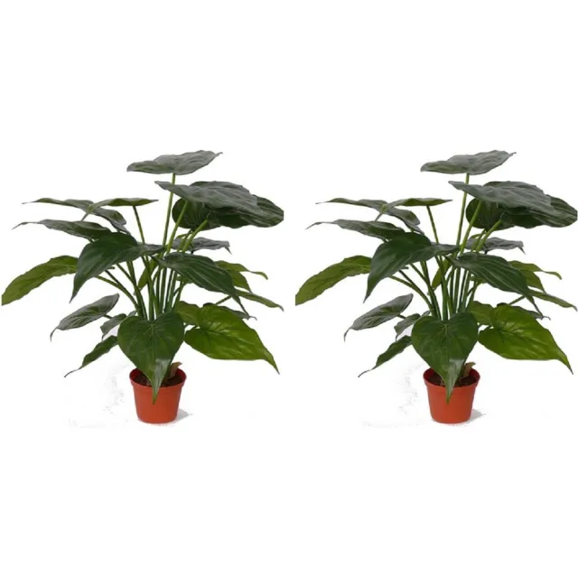 Bellatio Flowers & Plants Set van 2x stuks kunstplanten alocasia olifantsoor groen 51 cm - Groene huis of kantoor nepplanten