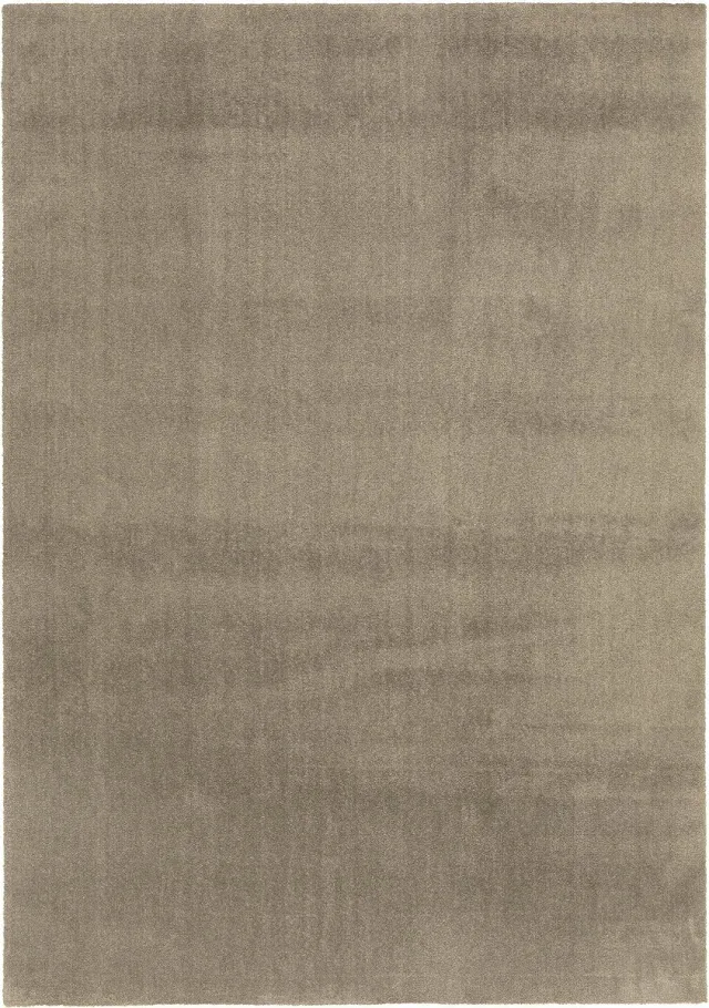 Dutch Lifestyle New York - Polyester - Vloerkleed - 120x170 cm - Bruin