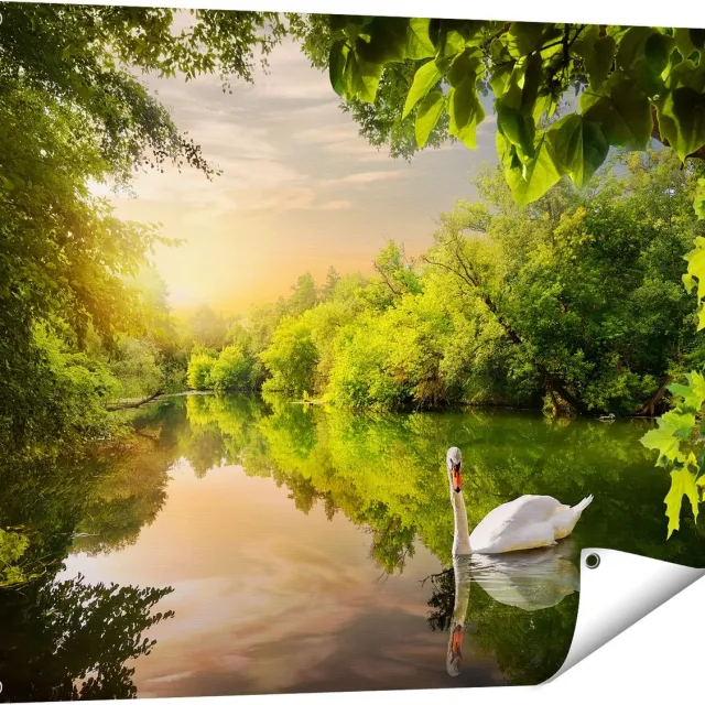 Gards Tuinposter Zwaan op het Water in het Bos - 100x80 cm - Tuindoek - Tuindecoratie - Wanddecoratie buiten - Tuinschilderij Multikleur