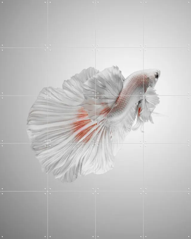 IXXI White Betta, Andi Halil & Various - 80 x 100 cm - Grote wanddecoratie en posters - Digitale Kunst, Fotografie, Slaapkamer, Woonkamer, Natuur Lichte tinten / Wit