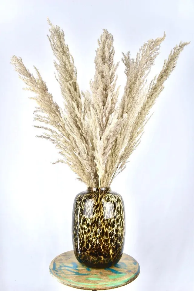 Natuurlijk Bloemen Pampas Pluimen - droogbloemen pluimen - 100 cm - 10 stuks - Natuurlijk Bloemen Pampas Grijs/bruin 10 stuks