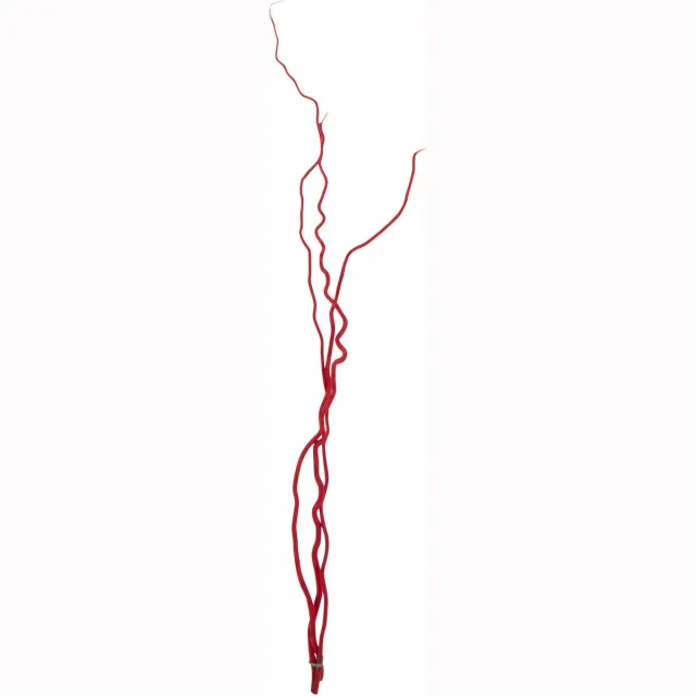 J-Line decoratie tak - riet - rood - medium - set van 3