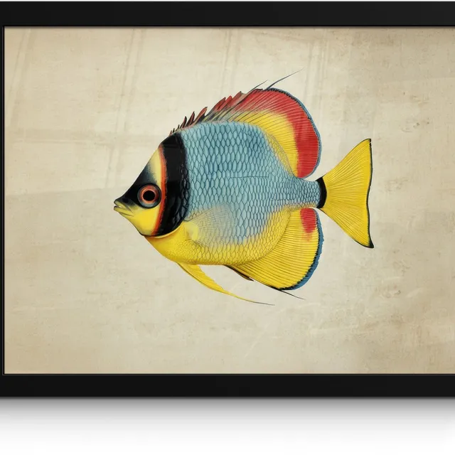 FrameYourWall Poster in lijst - Fotolijst 40x30 cm - Posters - Kleurrijk - Vis - Schubben - Illustratie - Posterlijst zwart - Decoratie - Wanddecoratie woonkamer - Muurdecoratie slaapkamer Vis - Kleurrijk