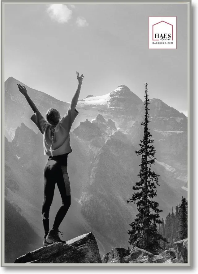 HAES deco Kunststof fotolijst 50x50 zilver Easy Frame - EF18S