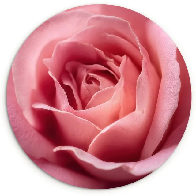 WallCircle Wandcirkel 120x120 cm - Muurcirkel Roze - Roos - Romantisch - Muurdecoratie woonkamer - Wanddecoratie slaapkamer - Kamer decoratie accessoires - Ronde schilderijen