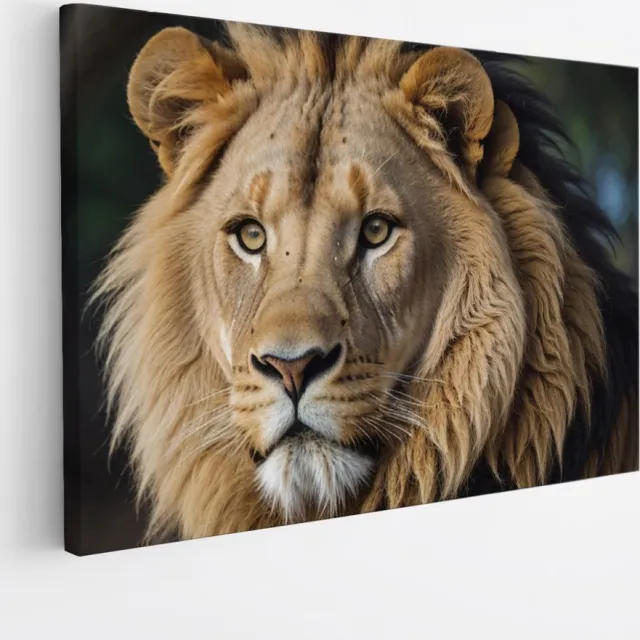 Saammp Canvas Schilderij - Leeuw - Portret - Dieren - 100x75 - Foto op canvas - Wanddecoratie - Muurdecoratie Woonkamer - Slaapkamer decoratie - Canvas Print Multicolor