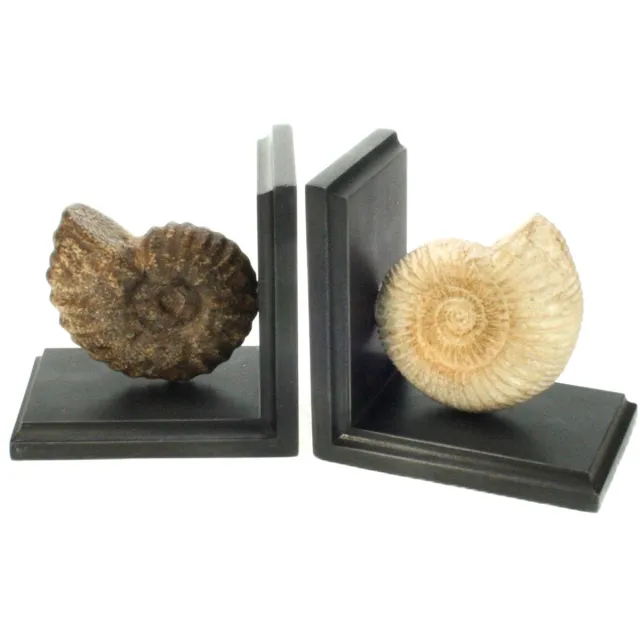 Meander Boekensteun set Schelp 28x9x14cm Zie foto