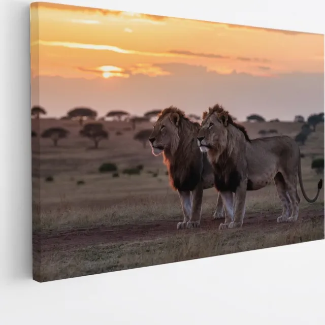 Saammp Canvas Schilderij - Leeuwen in de serangeti - Dieren - Natuur - 150x100 - Foto op canvas - Wanddecoratie - Muurdecoratie Woonkamer - Slaapkamer decoratie - Canvas Print Multicolor