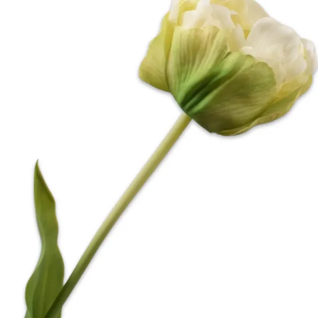 Silk-ka Kunstbloem-Zijden Bloemen Tulp Steel Groen-Wit 66 cm