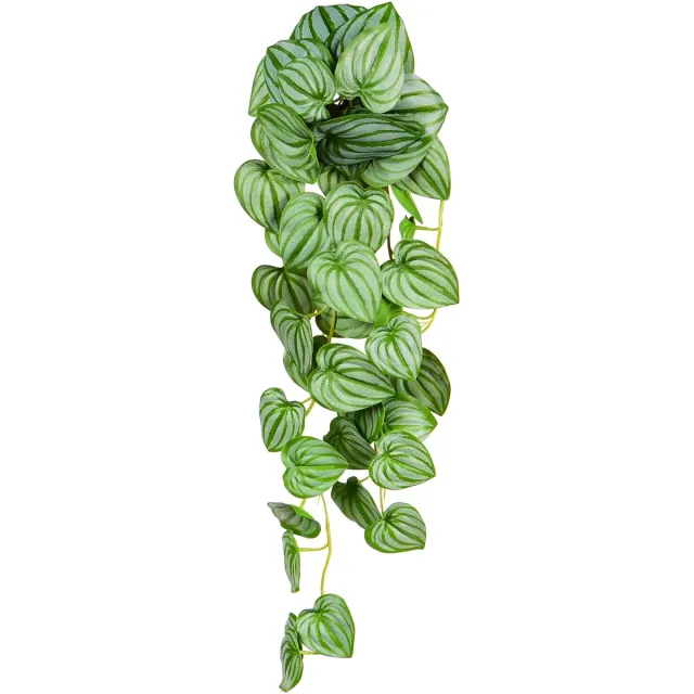 UNUS Kunsthangplant Peperomia Argyreia Hangplant Groen Kunstplanten 70 cm set van 2 voor Binnen en Buiten Nepplanten Kunst plant