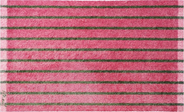 Mad About Mats DAFNE - deurmat - droogloop/touch - wasbaar - 67x110 roze