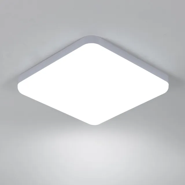 Haobosic LED Plafondlamp - Ø25cm - Medium - LED - 32W - IP54 - 6500K - Koel wit Licht - Geschikt voor woonkamer, eetkamer, slaapkamer, keuken en badkamer,Set van 2