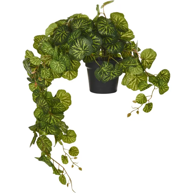 Beliani STRAWBERRY BEGONIA - Kunstplant - Groen - 37 cm - Synthetisch