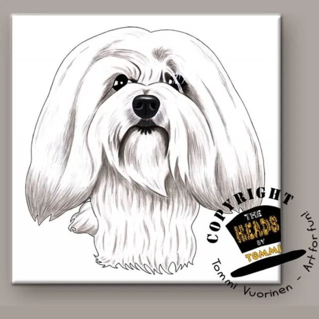 Heads Tegel Hond Coton Tulear Mixed kleuren