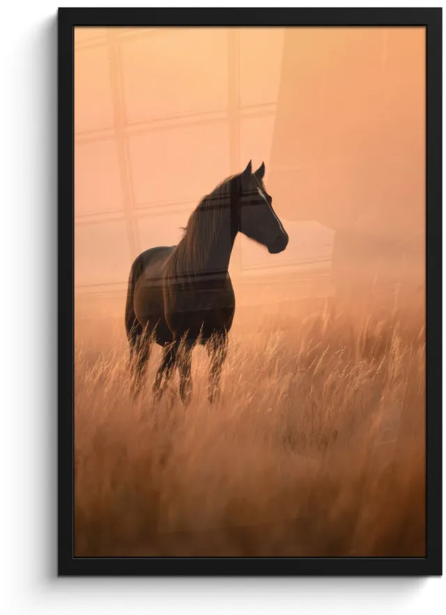 FrameYourWall Poster in lijst - Fotolijst 40x60 cm - Posters - Paard - Grasveld - Zonsondergang - Posterlijst zwart - Decoratie - Wanddecoratie woonkamer - Muurdecoratie slaapkamer