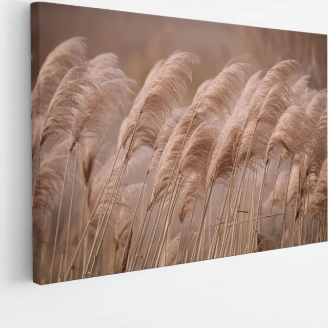 Saammp Canvas Schilderij - Pampas pluimen in de natuur - Bloemen - 60x40 - Foto op canvas - Wanddecoratie - Muurdecoratie Woonkamer - Kantoor Decoratie Multicolor