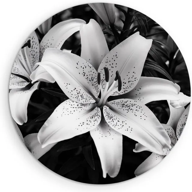 Saammp Muurcirkel Hout - Bloemen - Witte Lelies - Natuur - Abstract - Ø 50 - Wandcirkel - Wanddecoratie Cirkel - Muurdecoratie Woonkamer - Kantoor Decoratie