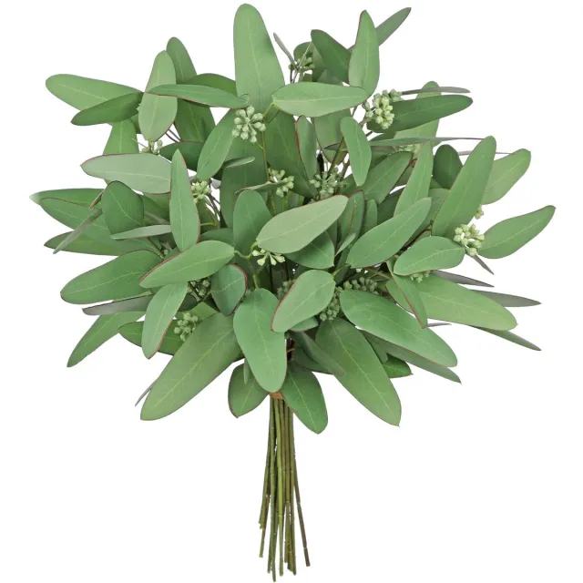 Unyqoos Onderhoudsvriendelijke Eucalyptus Kunsttakken voor Diverse Decoratiemogelijkheden Groen