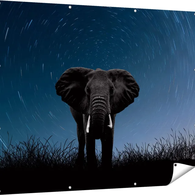 Gards Tuinposter Olifant Omringd met Sterren - 150x120 cm - Tuindoek - Tuindecoratie - Wanddecoratie buiten - Tuinschilderij Multikleur