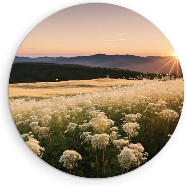 Saammp Forex Muurcirkel - Landschap - Wit - Bloemenveld met zonsondergang en bergen - Natuur - Ø 50 - Wandcirkel - Wanddecoratie Cirkel - Muurdecoratie Woonkamer - Slaapkamer decoratie - Rond Schilderij