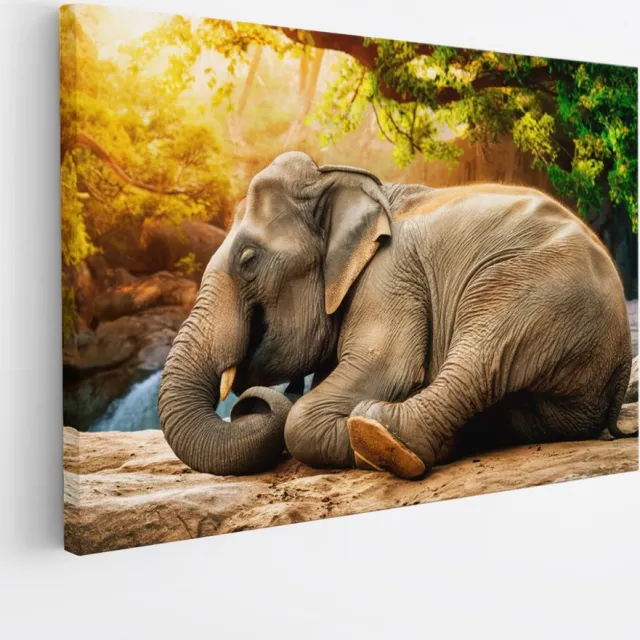 Saammp Canvas Schilderij - Olifan op steen - Afrika - Dieren - 60x40 - Foto op canvas - Wanddecoratie - muurdecoratie Woonkamer - Slaapkamer decoratie - Canvas Print Multicolor